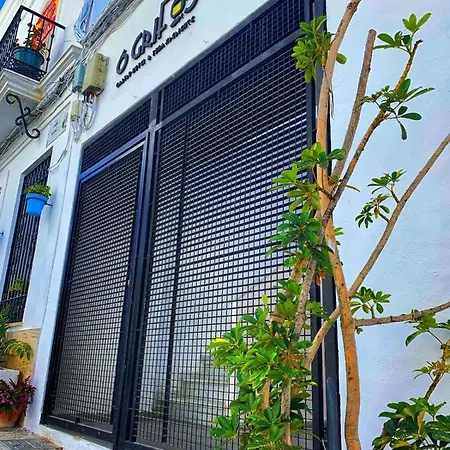Hotel Olehousing *